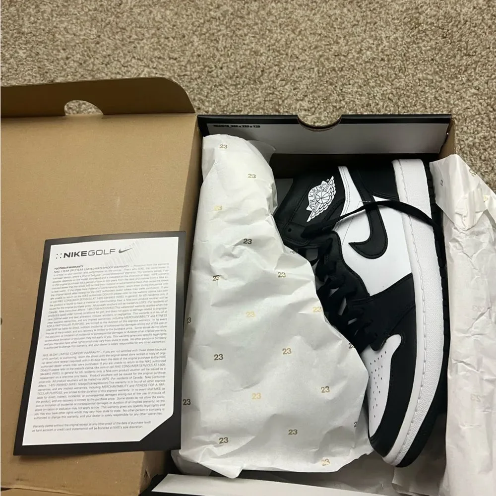 Jordan 1 High Golf men's 9